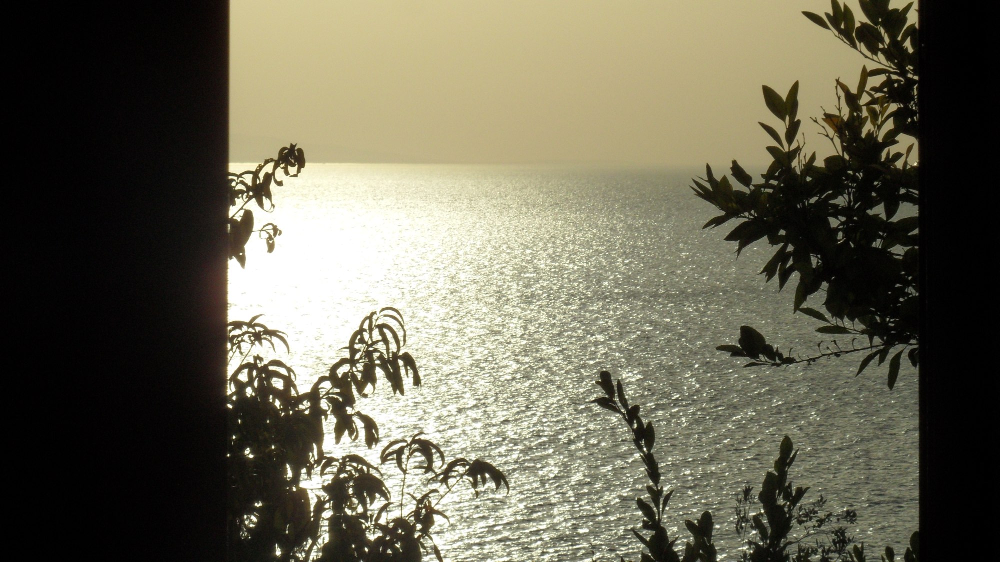 Podgora