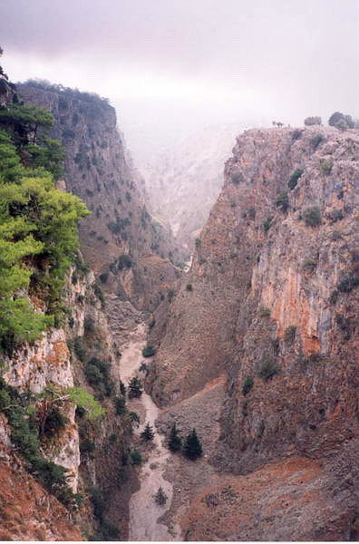 Kréta