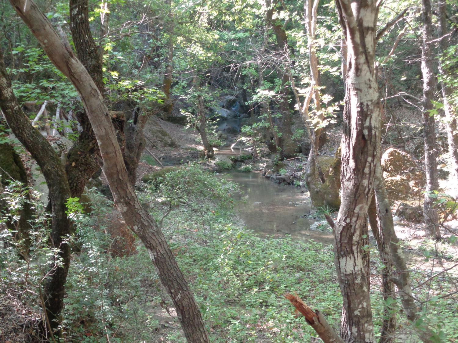 Rhodos